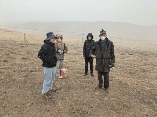 高原逐夢,綠脈重生——勘察設計集團高效推進海北州青海湖流域山水項目 高原逐夢,綠脈重生——勘察設計集團高效推進海北州青海湖流域山水項目