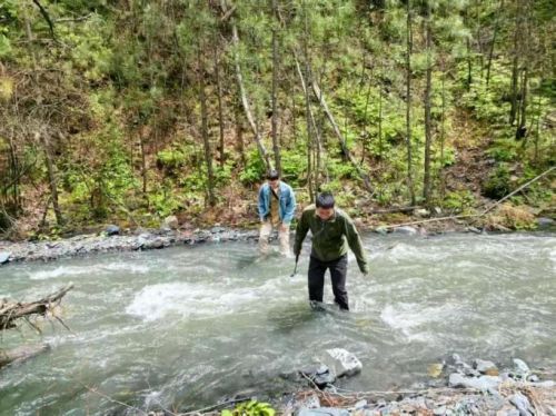喜迎黨代會(huì) 圖說(shuō)一周年（三）